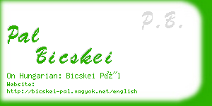 pal bicskei business card